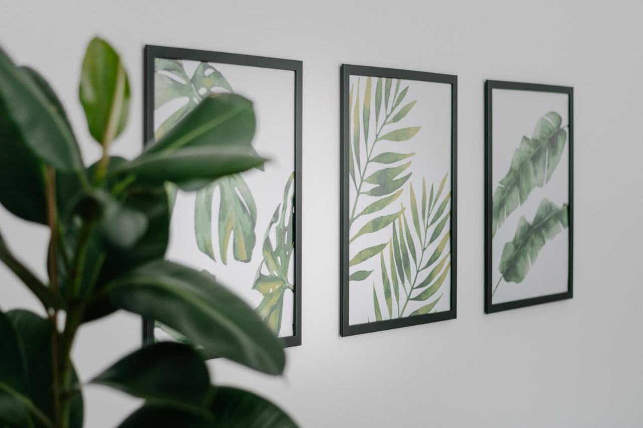 Apartment Fresh - Parking Included Izola Buitenkant foto